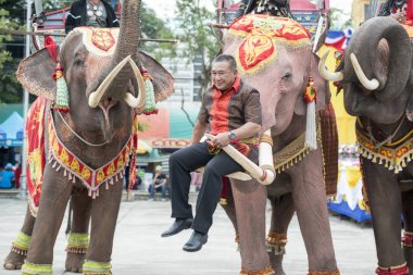 bir fil tradititional Satuek kasaba kuzeyinde şehir Buri Ram Isan kuzeydoğu Tayland'Mun Nehri Longboat yarışı, poz gouvernment insanlar. Tayland, Buriram, Kasım, 2017.