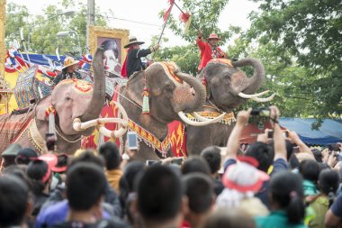 bir fil tradititional Satuek kasaba kuzeyinde şehir Buri Ram Isan kuzeydoğu Tayland'Mun Nehri Longboat yarışı göstermek. Tayland, Buriram, Kasım, 2017.