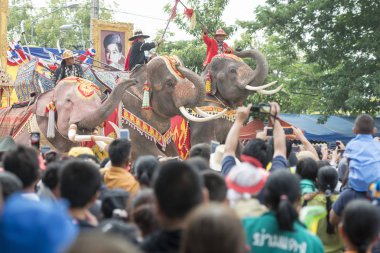 bir fil tradititional Satuek kasaba kuzeyinde şehir Buri Ram Isan kuzeydoğu Tayland'Mun Nehri Longboat yarışı göstermek. Tayland, Buriram, Kasım, 2017.