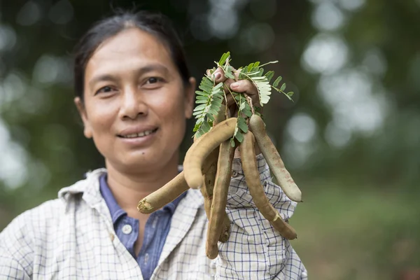 Een Vrouw Een Tamarinde Boom Wat Khao Angkhan Ten Zuiden — Stockfoto
