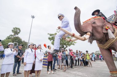 bir fil tradititional Satuek kasaba kuzeyinde şehir Buri Ram Isan kuzeydoğu Tayland'Mun Nehri Longboat yarışı, poz gouvernment insanlar. Tayland, Buriram, Kasım, 2017.