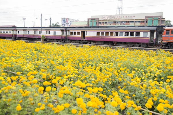 布里兰的火车站位于泰国东北部的武里公羊省 布里兰 2017年11月 — 图库照片
