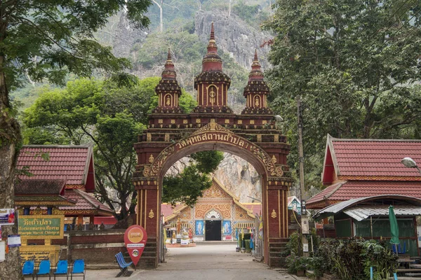 Wat Tham Pla Nebo Opičí Chrám Blízkosti Města Mae Sai — Stock fotografie