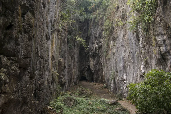 Wat Tham Pla Cave Monkey Cave Town Mae Sai Border — Stock Photo, Image