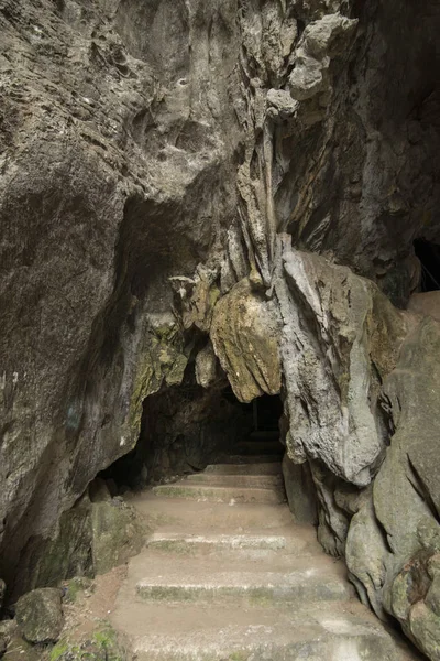 Cueva Wat Tham Pla Cueva Monos Cerca Ciudad Mae Sai —  Fotos de Stock
