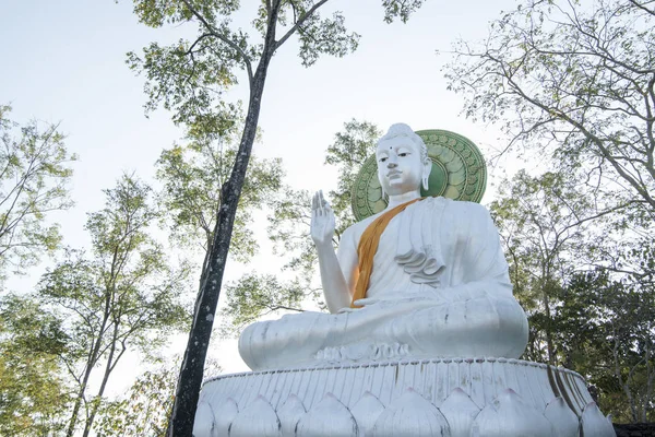 Den Stora Buddha Wat Tham Chom Temple Staden Mae Sai — Stockfoto