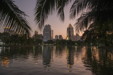 Güney Asya 'da Tayland' ın Bangkok şehrindeki Skyline 'lı Lumphini Parkı. Tayland, Bangkok, Kasım 2019