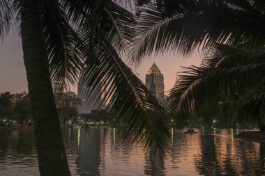 Güney Asya 'da Tayland' ın Bangkok şehrindeki Skyline 'lı Lumphini Parkı. Tayland, Bangkok, Kasım 2019