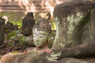 Tayland Chiang Mai Wat Umong