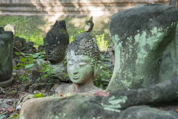 Thailand chiang mai wat umong — Stockfoto