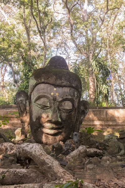 Thailand Chiang Mai Wat Umong — Stockfoto