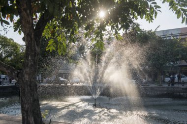 Tayland Chiang Mai Şehir Duvarı Kanalı