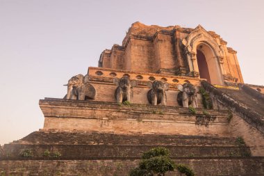 Tayland Chiang Mai Wat Chedi Luang