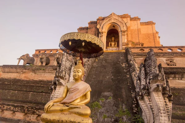 Tailândia Chiang Mai Wat Chedi Luang — Fotografia de Stock