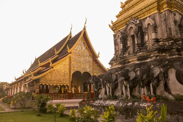 Thailand Chiang Mai Wat Chiang Man — Stockfoto