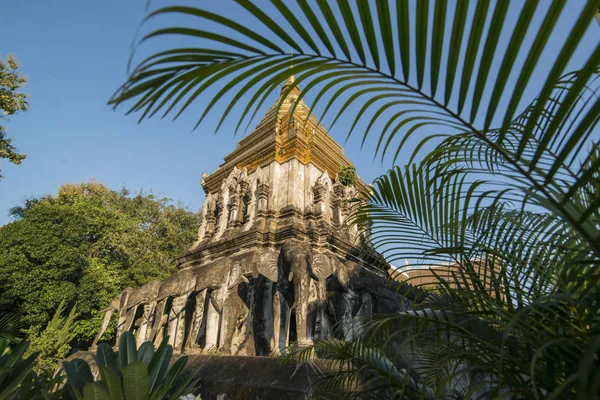 Tailândia Chiang Mai Wat Chiang Man — Fotografia de Stock