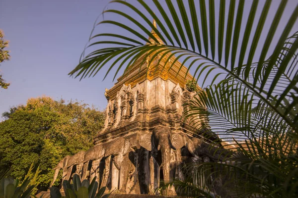 Thailand Chiang Mai Wat Chiang Man — Stockfoto