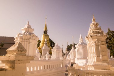 THAILAND CHIANG MAI WAT SUAN DOK