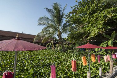 Tayland Chiang Mai Wat Jet Lin