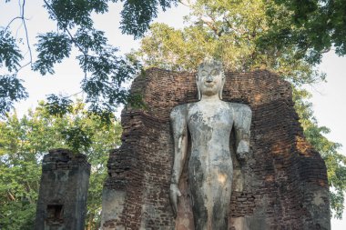Wat Phra Si Iriyabot Tapınağı Kuzey Tayland 'da Kamphaeng Phet kasabasında. Tayland, Kamphaeng Phet, Kasım 2019