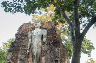 Wat Phra Si Iriyabot Tapınağı Kuzey Tayland 'da Kamphaeng Phet kasabasında. Tayland, Kamphaeng Phet, Kasım 2019