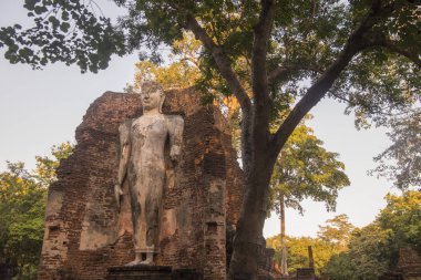 Wat Phra Si Iriyabot Tapınağı Kuzey Tayland 'da Kamphaeng Phet kasabasında. Tayland, Kamphaeng Phet, Kasım 2019