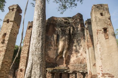 Wat Phra Si Iriyabot Tapınağı Kuzey Tayland 'da Kamphaeng Phet kasabasında. Tayland, Kamphaeng Phet, Kasım 2019