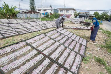 Tayland 'ın güneyindeki Pranburi kasabası yakınlarındaki Sai Noi kasabasında Hua Hin kasabasında kuru deniz ürünleri üretilmektedir. Tayland, Hua Hin, Kasım 2019