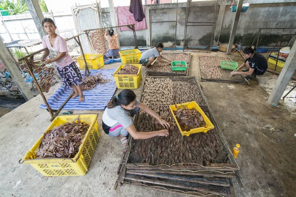 タイ南部のゴルフ場プランブリ町近くのサイノイの漁村で乾燥した魚介類の生産タイのホアヒンの町 ホアヒン 2019年11月 — ストック写真