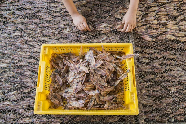 タイ南部のゴルフ場プランブリ町近くのサイノイの漁村で乾燥した魚介類の生産タイのホアヒンの町 ホアヒン 2019年11月 — ストック写真
