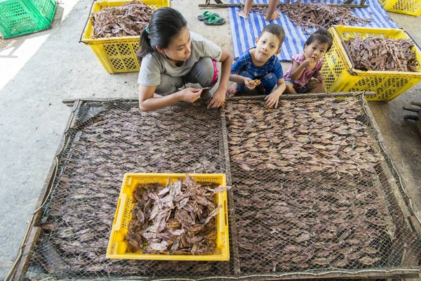 a dry seafood production in the fishing village of Sai Noi near the Town of Pranburi on the Golf of Thailand south the Town of Hua Hin in Thailand.   Thailand, Hua Hin, November, 2019