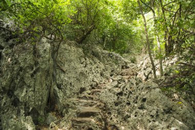 Tham Phraya Nakhon Mağarası 'nın Khua Kharuehat pavillion' u ve Tayland 'ın güneyindeki Hua Hin Kasabası' ndaki Khao Sam Roi Yot Nationalpark 'ın Hat Laem Sala' sı. Tayland, Hua Hin, Kasım 2019