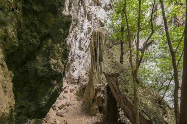 Krajina Cestě Pavilonu Khua Kharuehat Tham Phraya Nakhon Jeskyně Hat — Stock fotografie