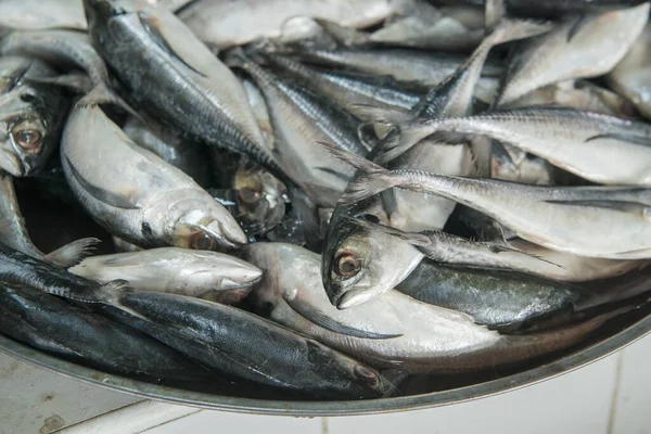 Pescado Fresco Puerto Pueblo Pesquero Sai Noi Cerca Ciudad Pranburi —  Fotos de Stock