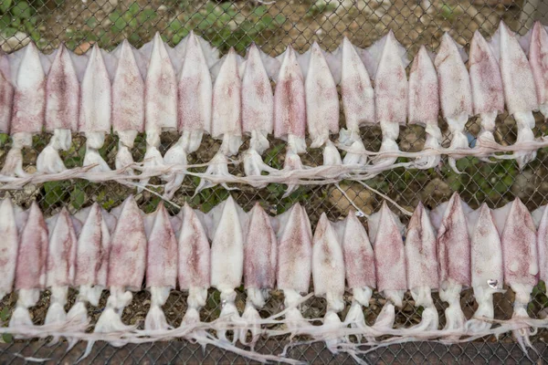 タイ南部のゴルフ場プランブリ町近くのサイノイの漁村で乾燥した魚介類の生産タイのホアヒンの町 ホアヒン 2019年11月 — ストック写真
