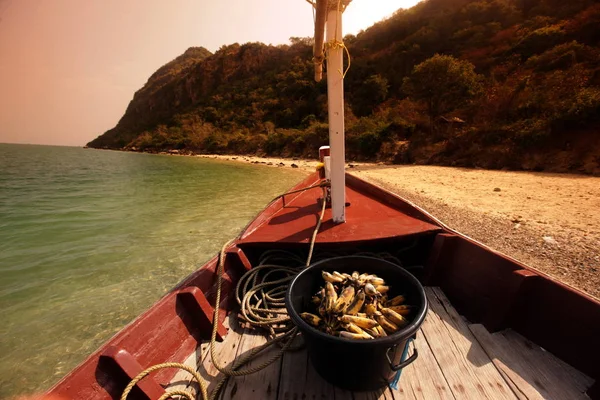 Barco Traz Comida Para Macaco Praia Ilha Macaco Frente Baía — Fotografia de Stock