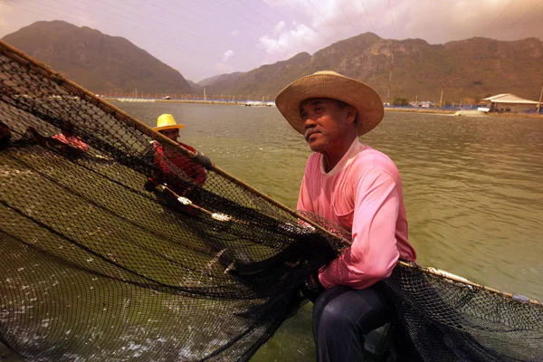 Shrimp Earning Shrimp Farm Khao Sam Roi Yot National Park — Stock Photo, Image