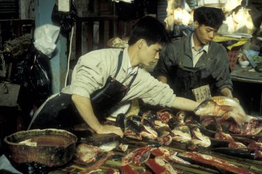 Doğu Asya 'daki Guangdong eyaletinin Guangzhou şehrindeki deniz ürünleri ve hayvan pazarında taze balık. Çin, Guangzhou, Nisan 2000