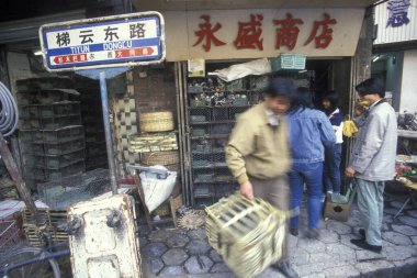  Çin 'in Guangdong şehrindeki Guangzhou şehrindeki et ve hayvan pazarı. Çin, Guangzhou, Nisan 2000