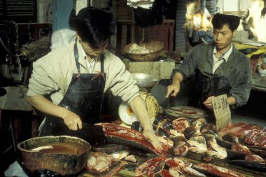 Doğu Asya 'daki Guangdong eyaletinin Guangzhou şehrindeki deniz ürünleri ve hayvan pazarında taze balık. Çin, Guangzhou, Nisan 2000