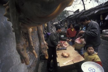 Doğu Asya 'daki Şanksi eyaletinin eski Xian şehrindeki hayvan ve deniz ürünleri pazarında ördek eti. Çin, Xian, Nisan 2000