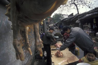 Doğu Asya 'daki Şanksi eyaletinin eski Xian şehrindeki hayvan ve deniz ürünleri pazarında ördek eti. Çin, Xian, Nisan 2000