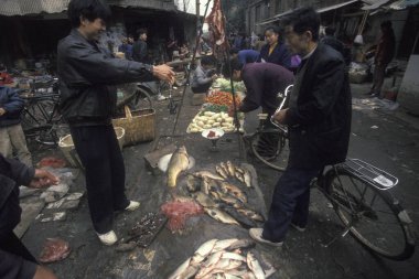 Doğu Asya 'daki Şanksi eyaletinin eski Xian şehrindeki hayvan ve deniz ürünleri pazarında balık. Çin, Xian, Nisan 2000