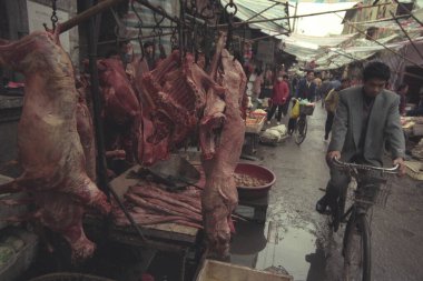 Doğu Asya 'nın Hubei eyaletindeki eski Wuhan şehrindeki hayvan ve deniz ürünleri pazarında köpek eti. Çin, Wuhan, Nisan 2000