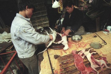 Doğu Asya 'nın Guangdong bölgesindeki Guangzhou şehrindeki deniz ürünleri ve hayvan pazarında kedi eti. Çin, Guangzhou, Nisan 2000