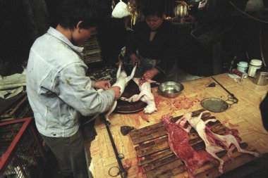 Doğu Asya 'nın Guangdong bölgesindeki Guangzhou şehrindeki deniz ürünleri ve hayvan pazarında kedi eti. Çin, Guangzhou, Nisan 2000