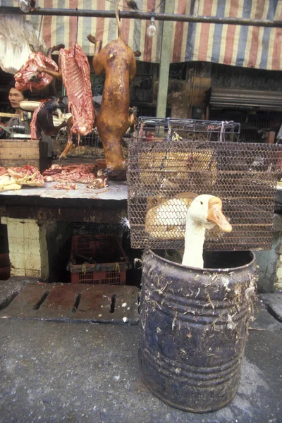 東アジアの中国広東省広州市の食肉 動物市場です 2000年4月 — ストック写真