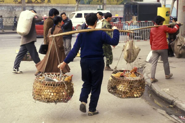 Pollo Mercado Animales Mariscos Casco Antiguo Ciudad Xian Provincia Shaanxi — Foto de Stock