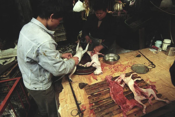 東アジアの中国広東省広州市の魚介類 動物市場での猫肉 2000年4月 — ストック写真