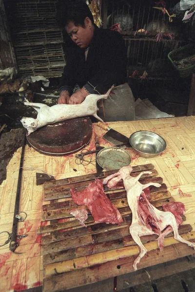 Κρέας Γάτας Στην Αγορά Θαλασσινών Και Ζώων Στην Πόλη Guangzhou — Φωτογραφία Αρχείου